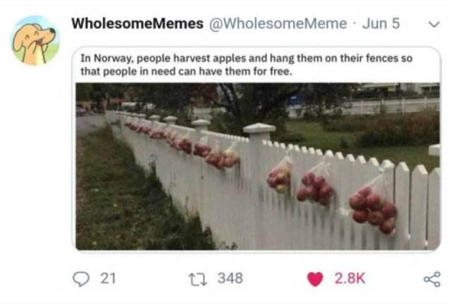 This World Is A Great Place (59 pics)