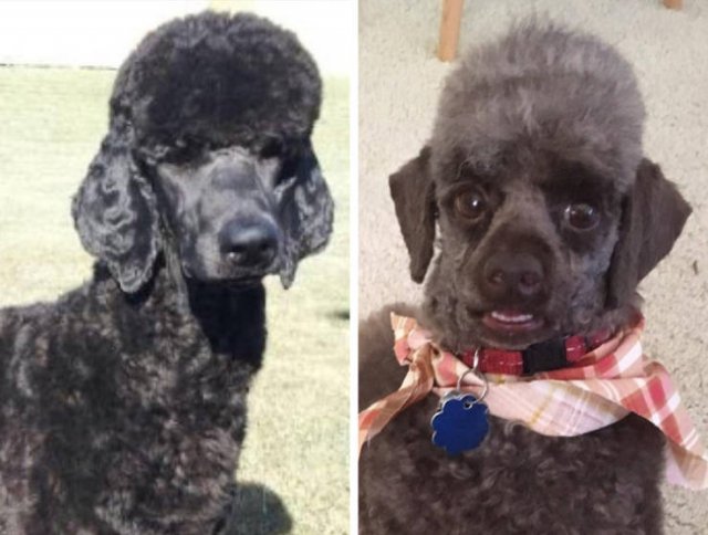 Expectations Vs Reality (21 pics)