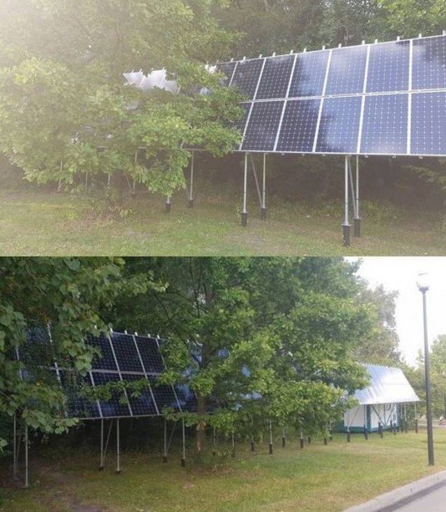 Totally Nailed It (52 pics)