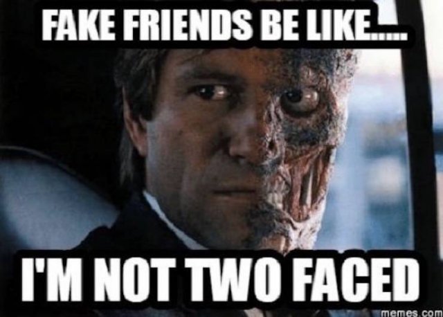 Memes About Fake Friends (28 pics)