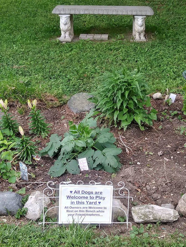 This World Is A Great Place (59 pics)