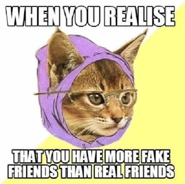 Memes About Fake Friends (28 pics)