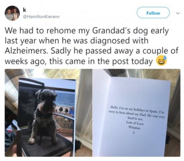 This World Is A Great Place (59 pics)