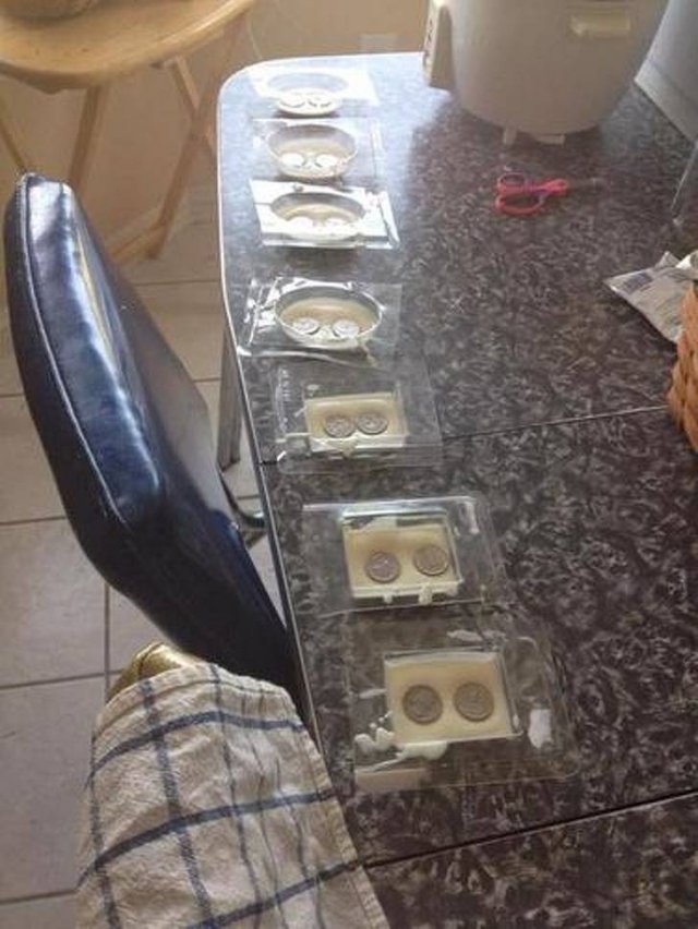 Nothing Can Stop Them (30 pics) Nothing Can Stop Them (30 pics)