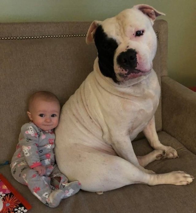 This World Is A Great Place (59 pics) This World Is A Great Place (59 pics)
