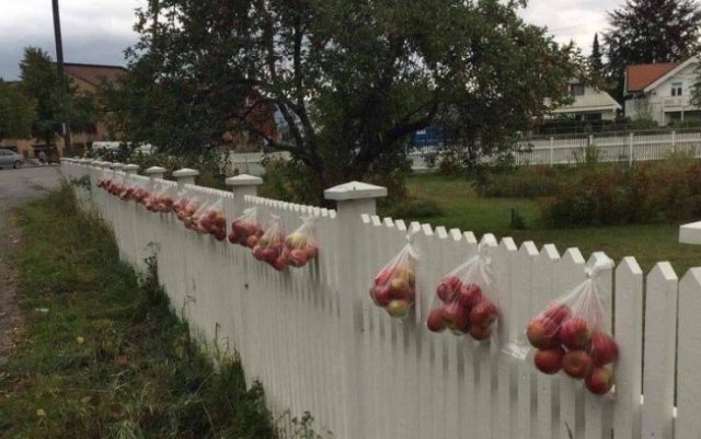 This World Is A Great Place (59 pics) This World Is A Great Place (59 pics)