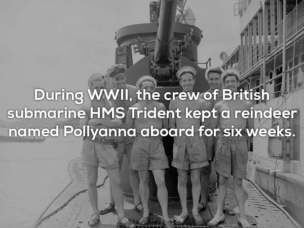 Interesting Facts (20 pics)