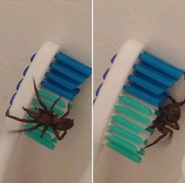 Sh*t Happens (39 pics)