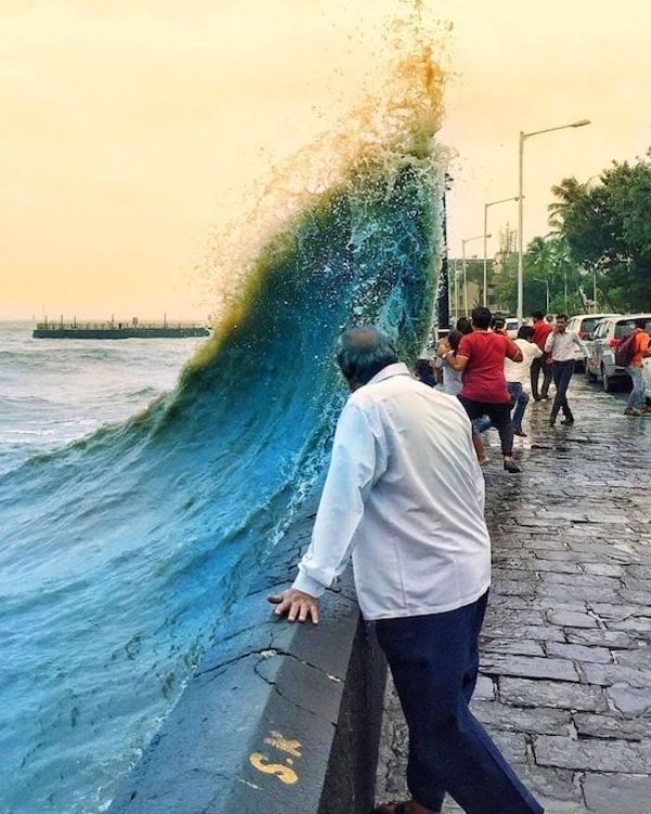 Sh*t Happens (39 pics)