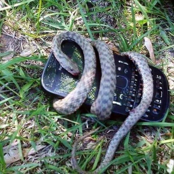 Sh*t Happens (39 pics)