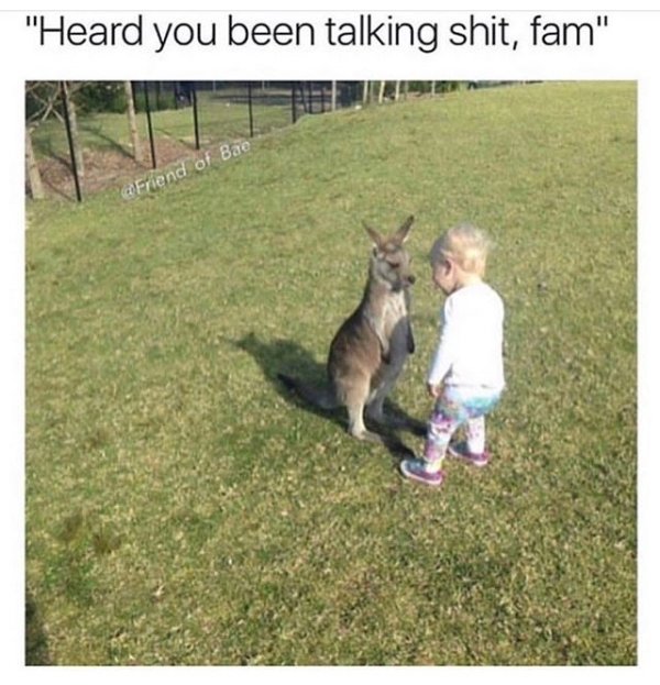 Sh*t Happens (39 pics)