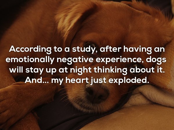 Interesting Facts (20 pics)
