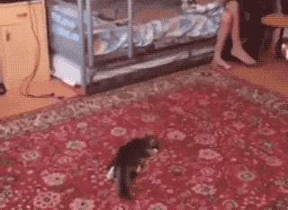 Unexpected GIF (24 gifs)