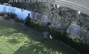 Unexpected GIF (24 gifs)