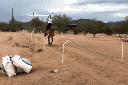 Unexpected GIF (24 gifs)
