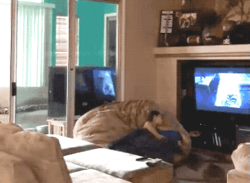 Unexpected GIF (24 gifs)