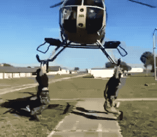 Unexpected GIF (24 gifs)