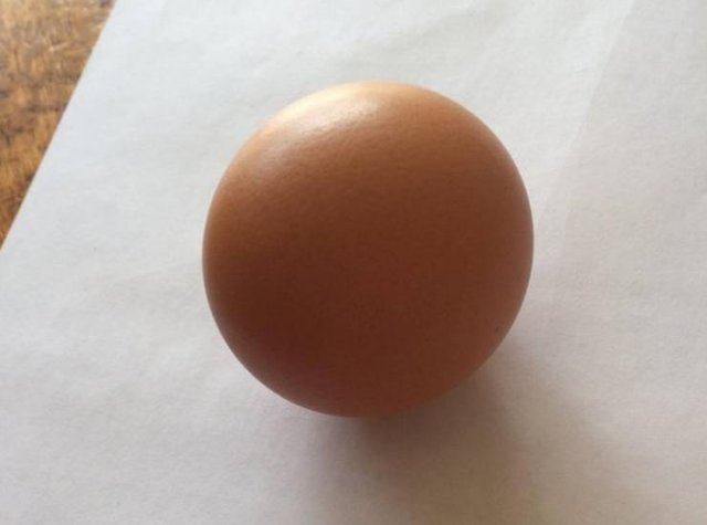 You Don't See Something Like This Everyday (20 pics)
