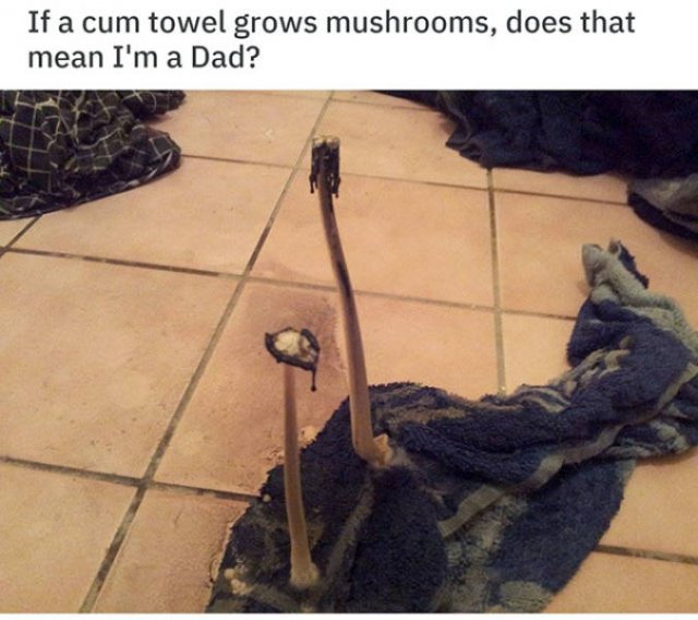 Sick And Crazy (23 pics)