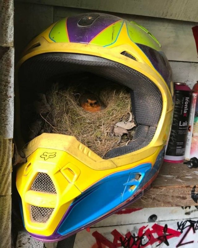 You Don't See Something Like This Everyday (20 pics)