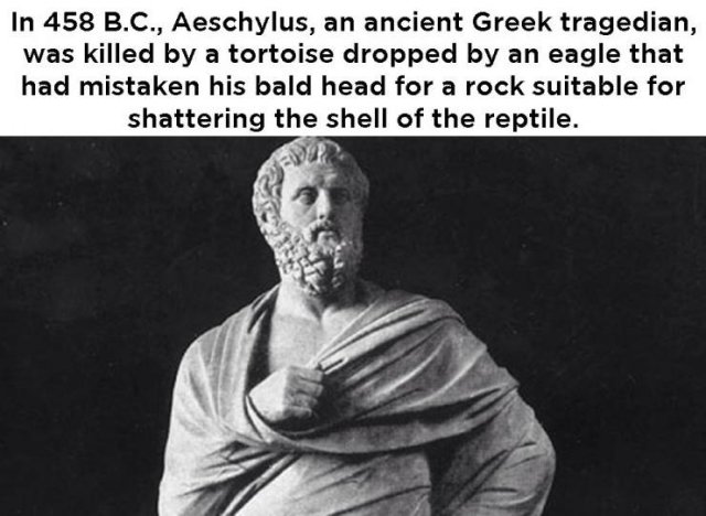 Sh*t Happens (54 pics)