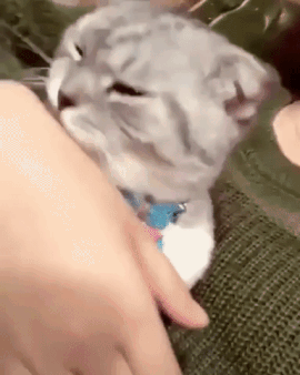 You Will Regret It (17 gifs)