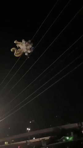 You Will Regret It (17 gifs)
