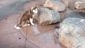 You Will Regret It (17 gifs)