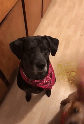 You Will Regret It (17 gifs)