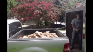 You Will Regret It (17 gifs)