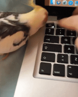 Acid Gifdump, June 24 (25 gifs)