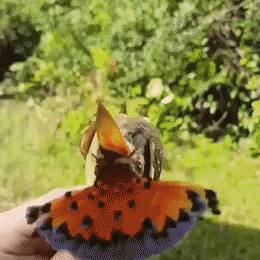 Acid Gifdump, June 24 (25 gifs)