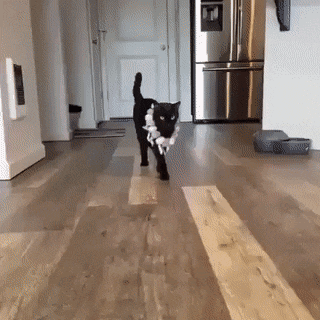 Acid Gifdump, June 24 (25 gifs)