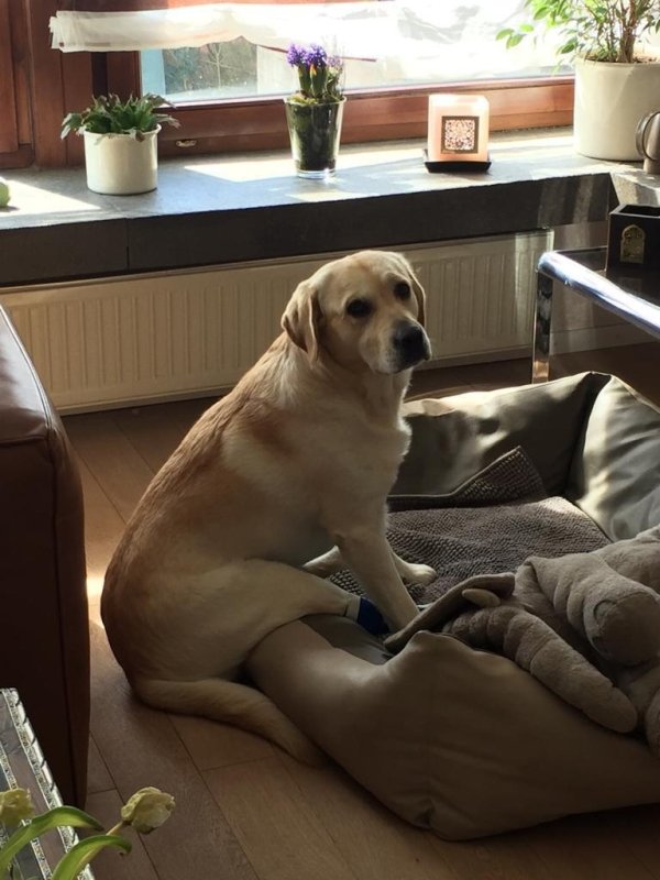 Animals maxing out the derpiness to cuteness ratio (30 pics)