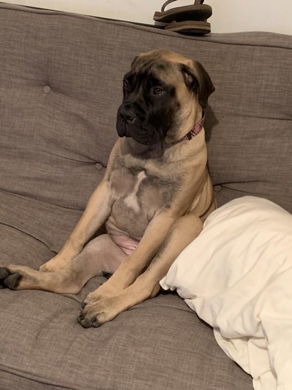 Animals maxing out the derpiness to cuteness ratio (30 pics)