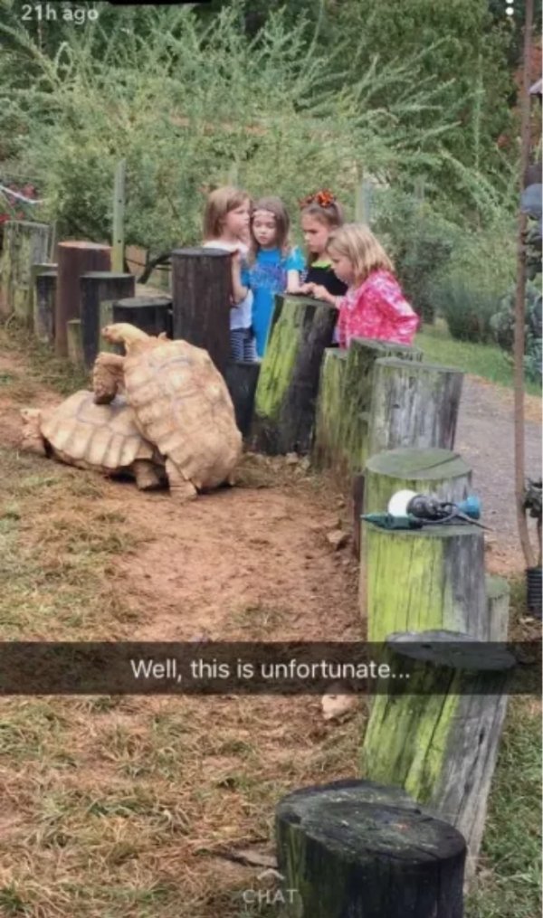 Dirty Humor (38 pics)