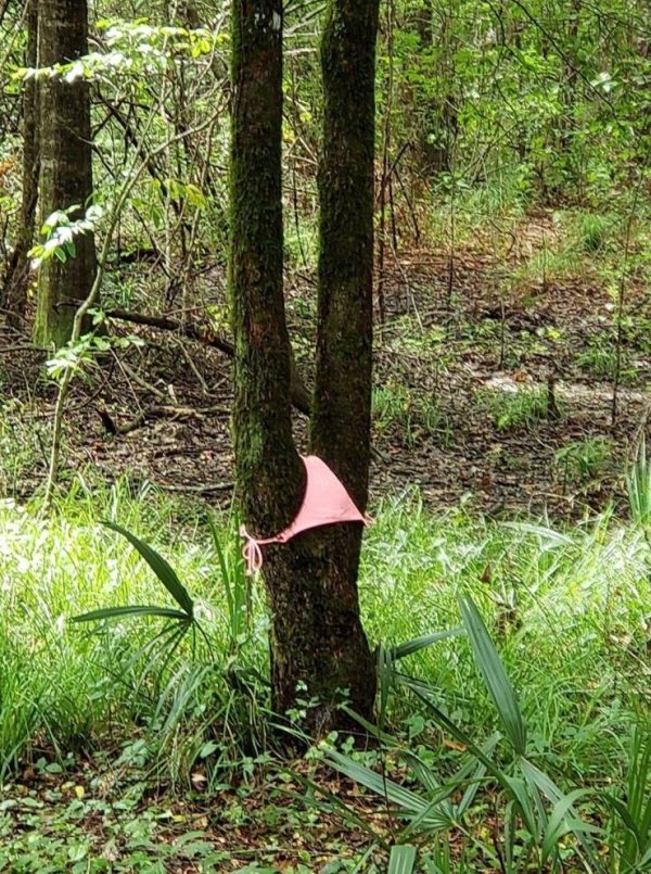 Dirty Humor (38 pics)
