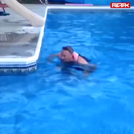 Acid Gifdump, June 25 (25 gifs)