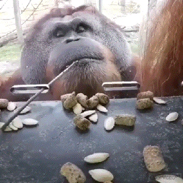 Acid Gifdump, June 25 (25 gifs)