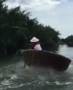 Acid Gifdump, June 25 (25 gifs)