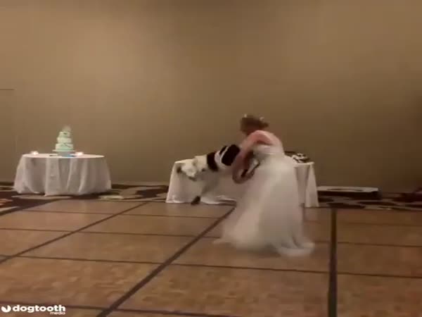 The Best First Dance