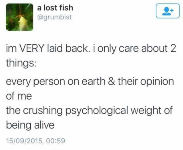 Depression Memes (55 pics)