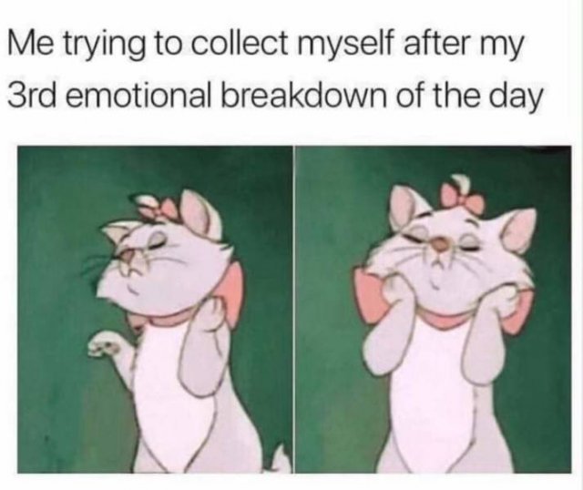 Depression Memes (55 pics)