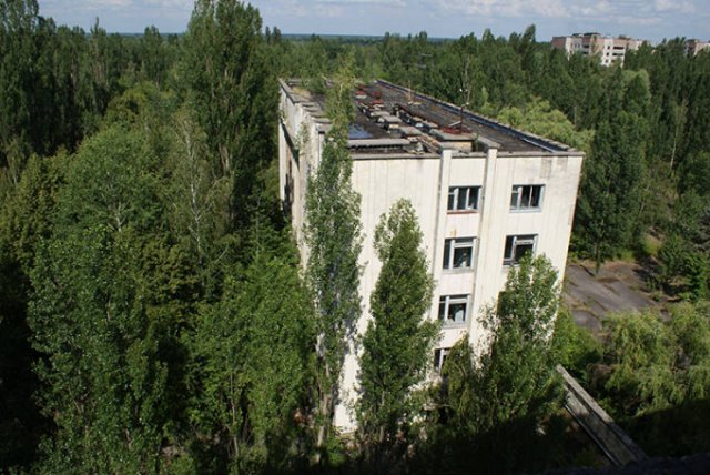Nature Takes Chernobyl Back (65 pics) Nature Takes Chernobyl Back (65 pics)
