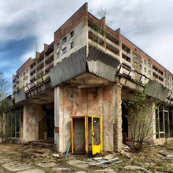 Nature Takes Chernobyl Back (65 pics)