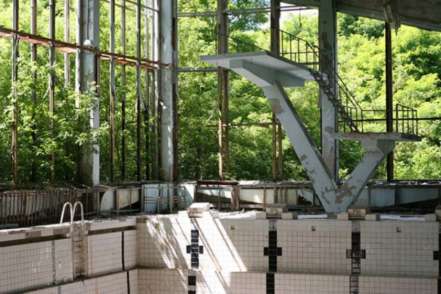 Nature Takes Chernobyl Back (65 pics) Nature Takes Chernobyl Back (65 pics)