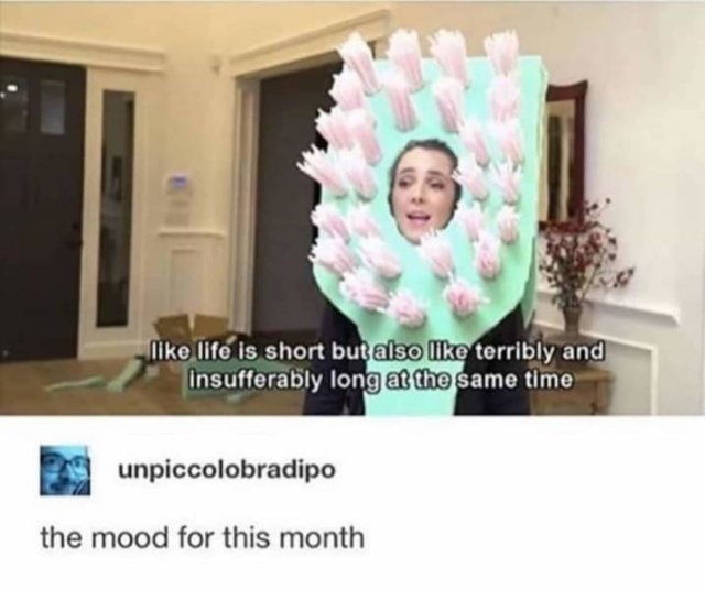 Depression Memes (55 pics)