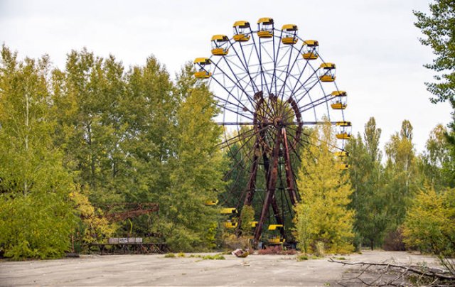 Nature Takes Chernobyl Back (65 pics) Nature Takes Chernobyl Back (65 pics)