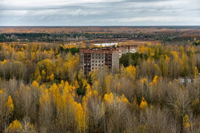 Nature Takes Chernobyl Back (65 pics) Nature Takes Chernobyl Back (65 pics)