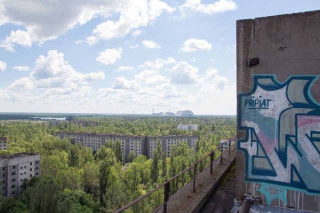 Nature Takes Chernobyl Back (65 pics) Nature Takes Chernobyl Back (65 pics)